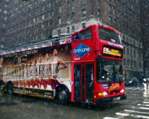 Double Decker In The Snow
