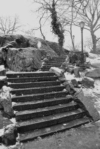 Central Park Steps In The Snow