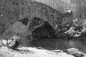 Central Park Bridge In The Snow