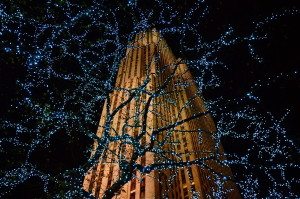 30 Rockefeller Center Through Tree Lights