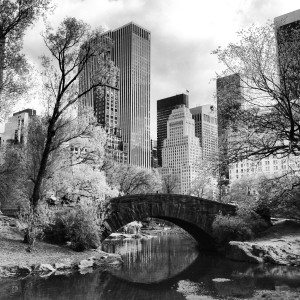 Central Park in Black and White