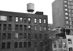 Decay/Progress