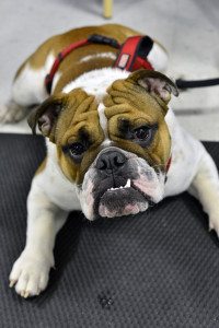 Franco, my sweet angel. 