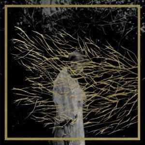 FOREST-SWORDS-ENGRAVINGS-575x575