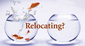 http://erikhatch.org/free-relocation-package/