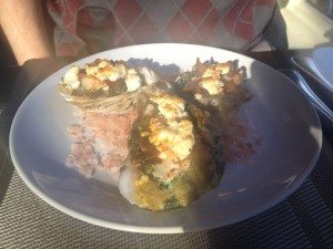 Oysters