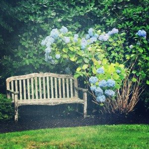 Westhampton 5