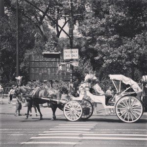 Summer in the City