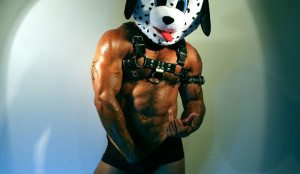Rogan Richards, Manhattan Digest