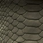 _MG_8016_CROP (1)