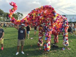 James Teal, Ryan Shea, Manhattan Digest, Electric Zoo Festival