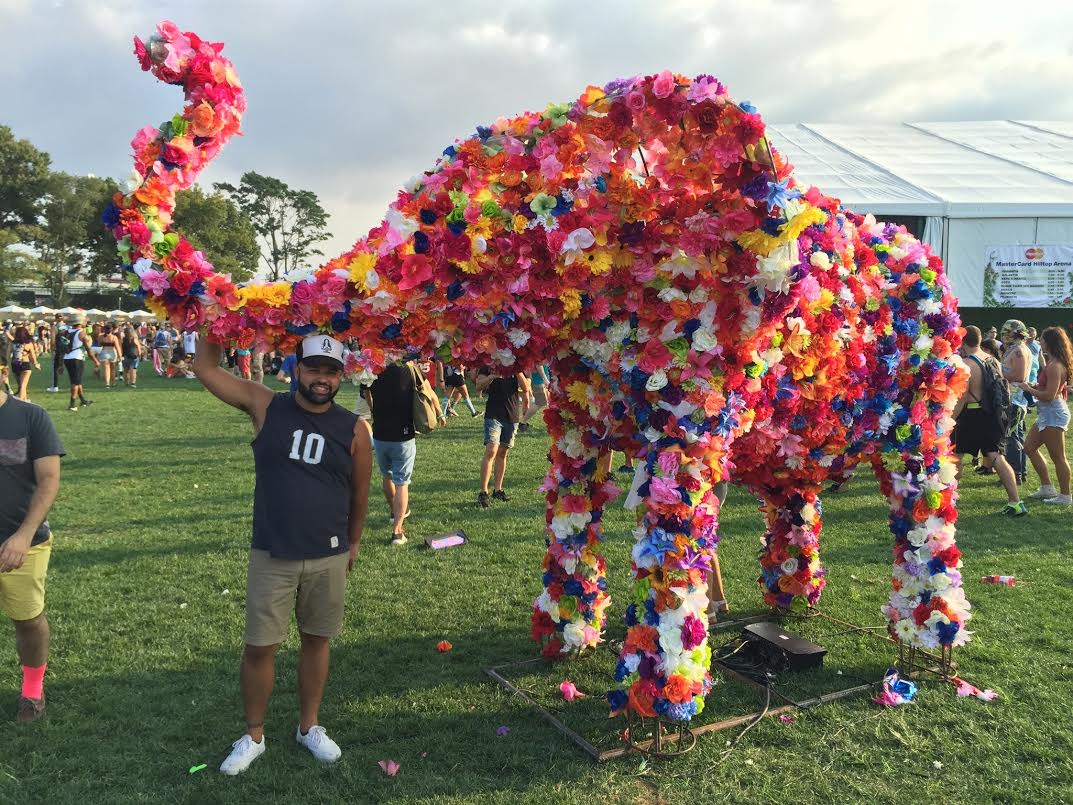 James Teal, Ryan Shea, Manhattan Digest, Electric Zoo Festival