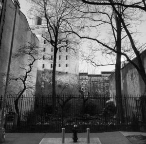 Vacant Lot Noir